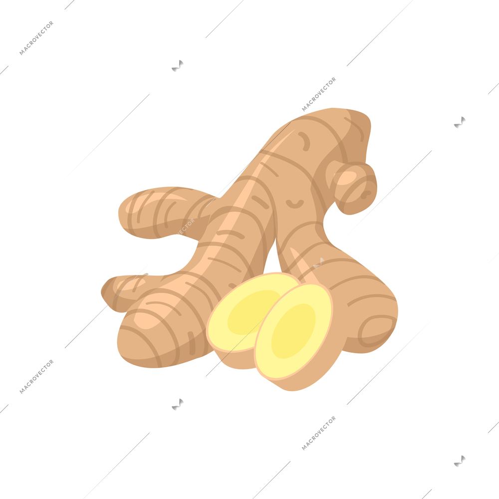 Isometric composition with isolated image of zinziber ginger plant vector illustration