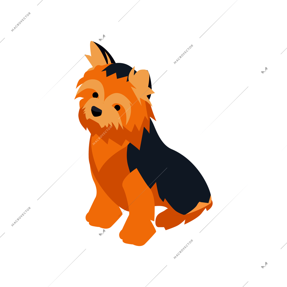 Isometric composition with isolated image of hairy dog on blank background vector illustration