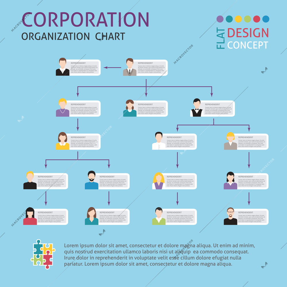 Corporate structure organisation chart infographics set vector illustration