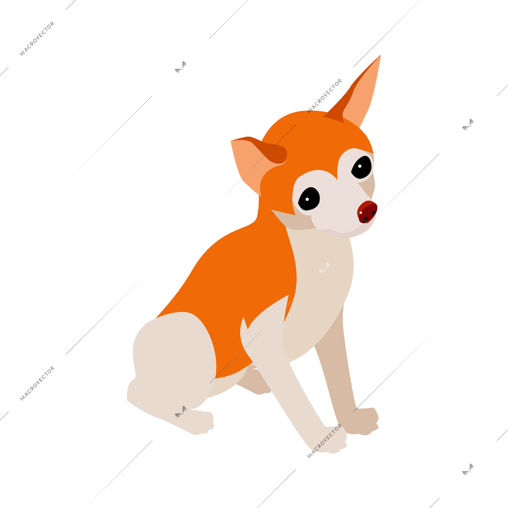 Isometric composition with isolated image of puppy on blank background vector illustration