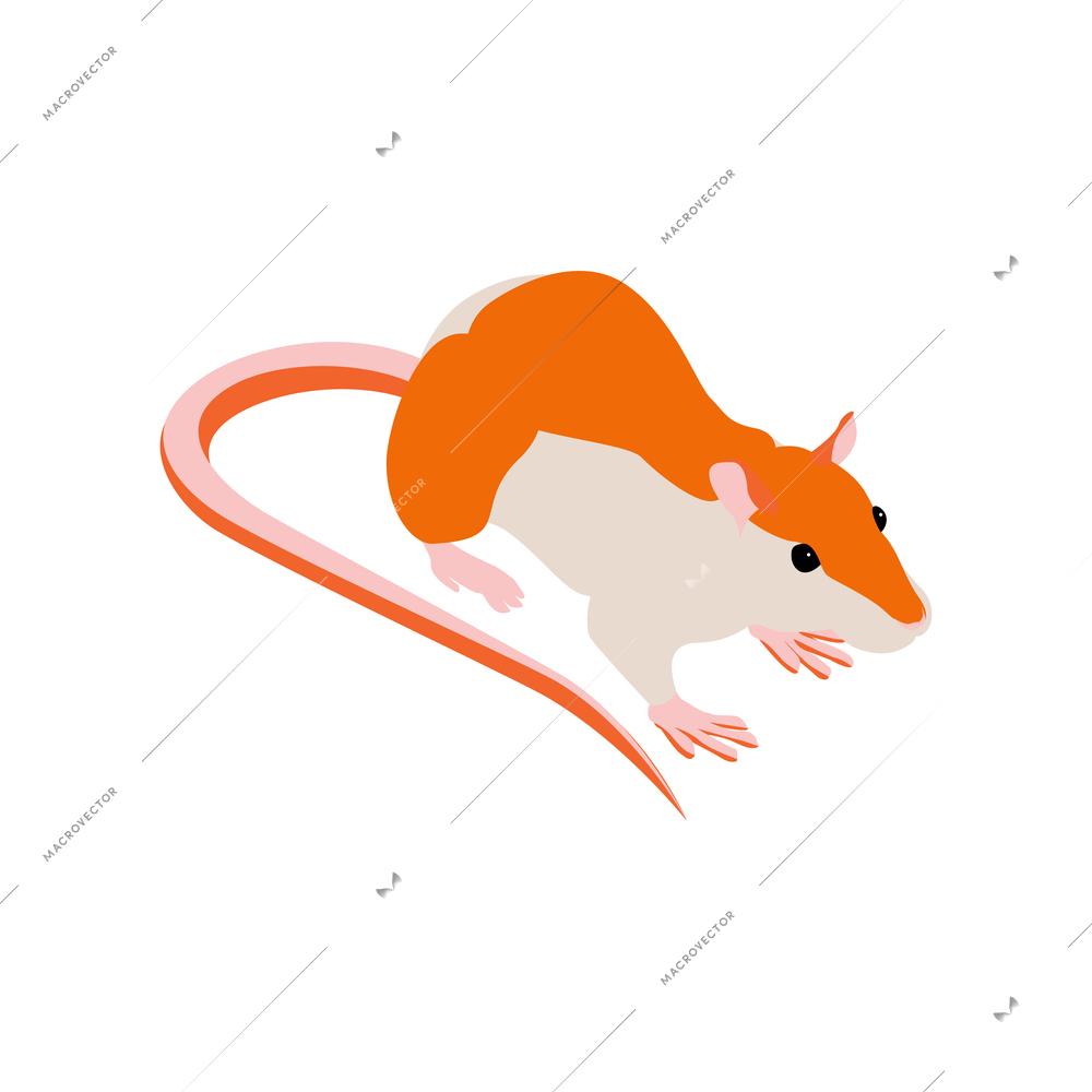 Isometric composition with isolated image of mouse on blank background vector illustration