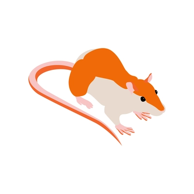 Isometric composition with isolated image of mouse on blank background vector illustration