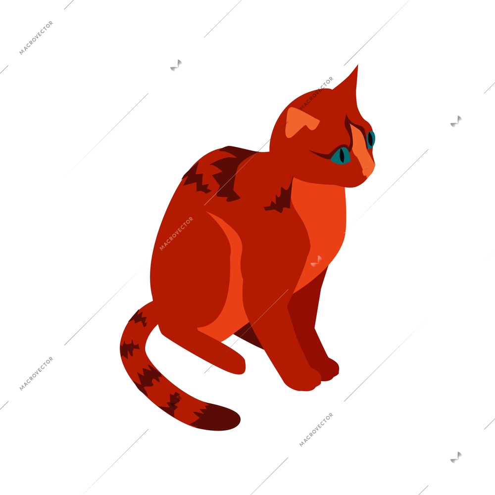 Isometric composition with isolated image of cat on blank background vector illustration