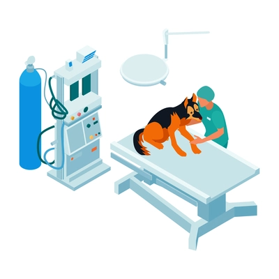 Isometric veterinary composition with view of surgery room medical apparatus and dog with doctor vector illustration