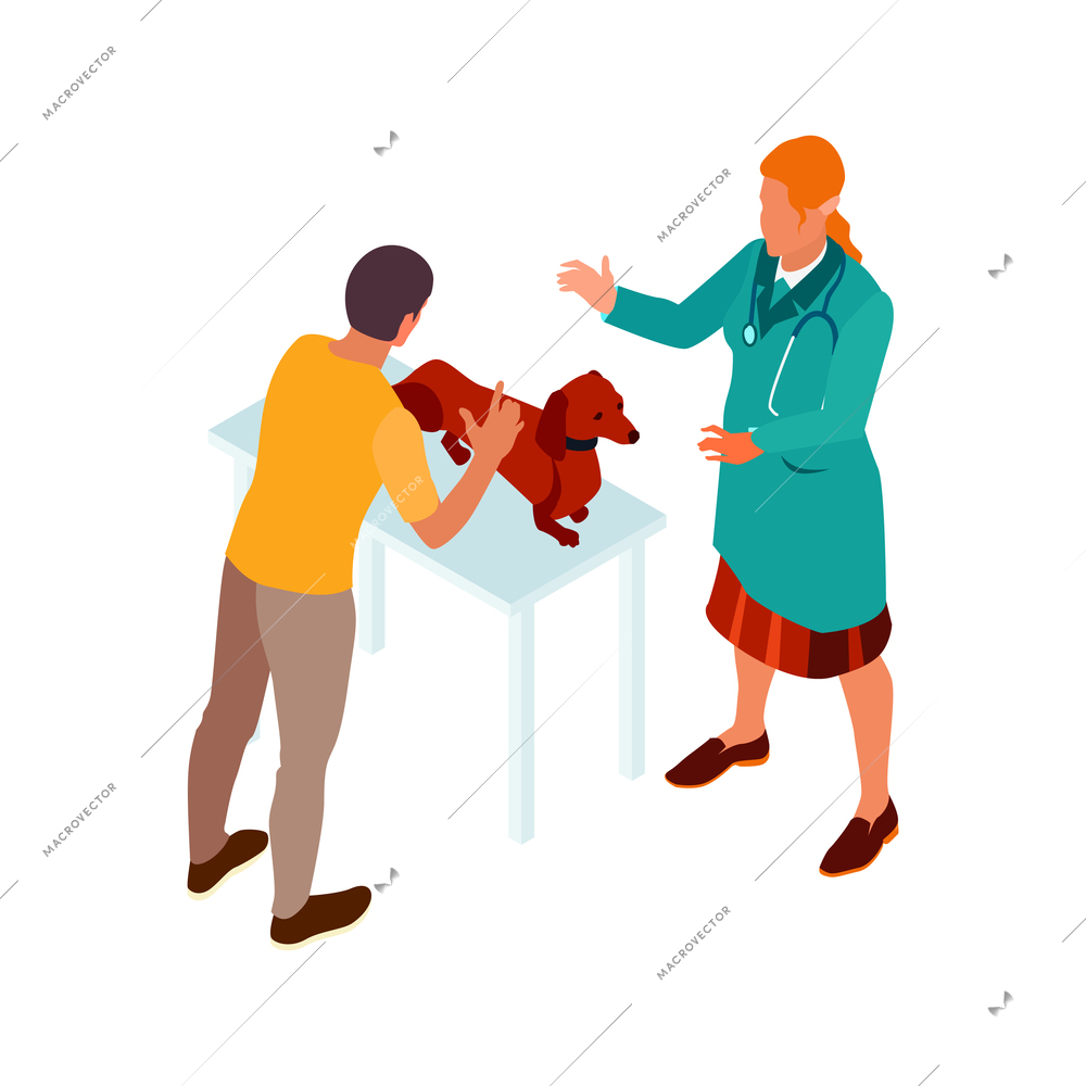 Isometric veterinary composition with view of doctor performing health checkup of dog with master vector illustration