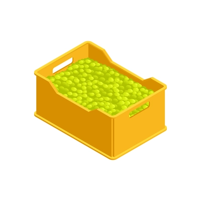 Grape harvest in plastic box on white background 3d isometric vector illustration