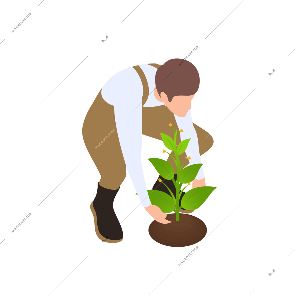 Farmer setting green plant 3d icon isomeric vector illustration