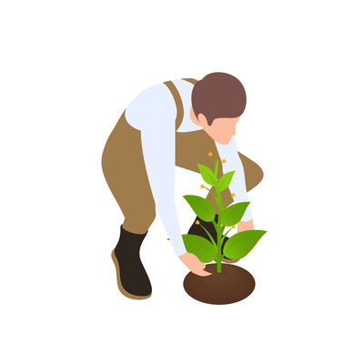 Farmer setting green plant 3d icon isomeric vector illustration