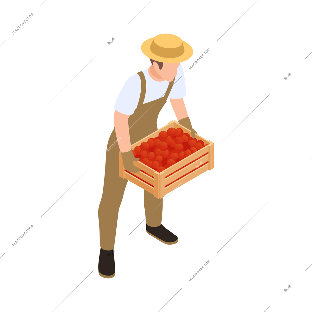 Worker gathering harvest 3d isometric vector illustration