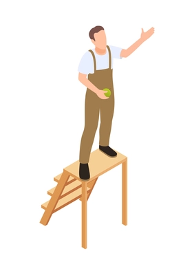 Man standing on ladder and gathering harvest 3d isometric vector illustration