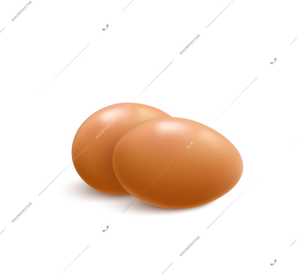 Two brown chicken eggs on white background realistic vector illustration