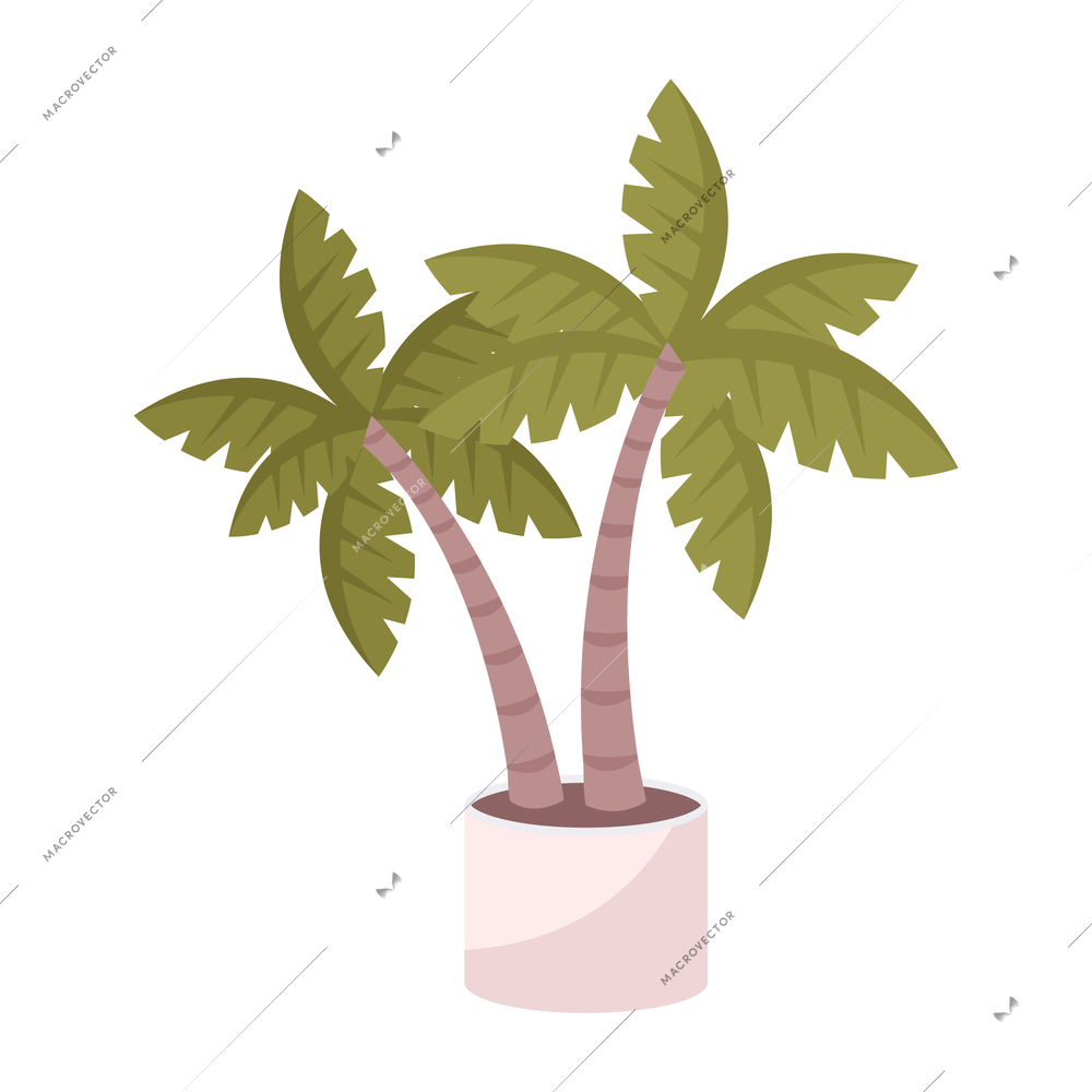 House palm in white pot flat vector illustration