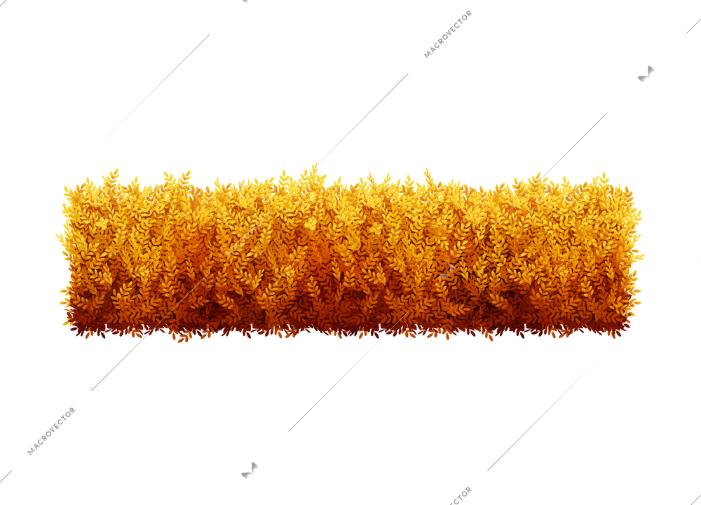 Clipped decorative garden bush in autumn realistic vector illustration