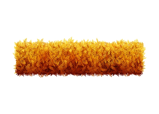 Clipped decorative garden bush in autumn realistic vector illustration