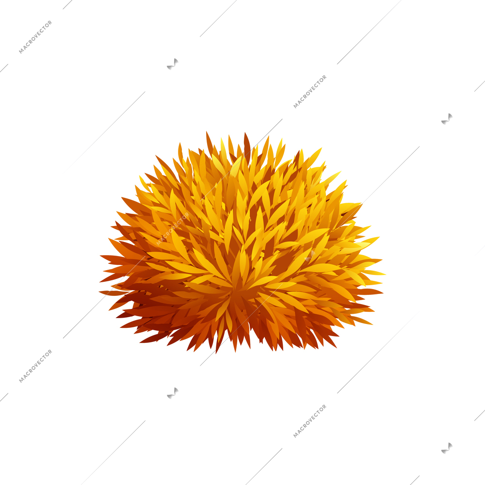 Sharp leaved decorative garden bush in autumn realistic vector illustration