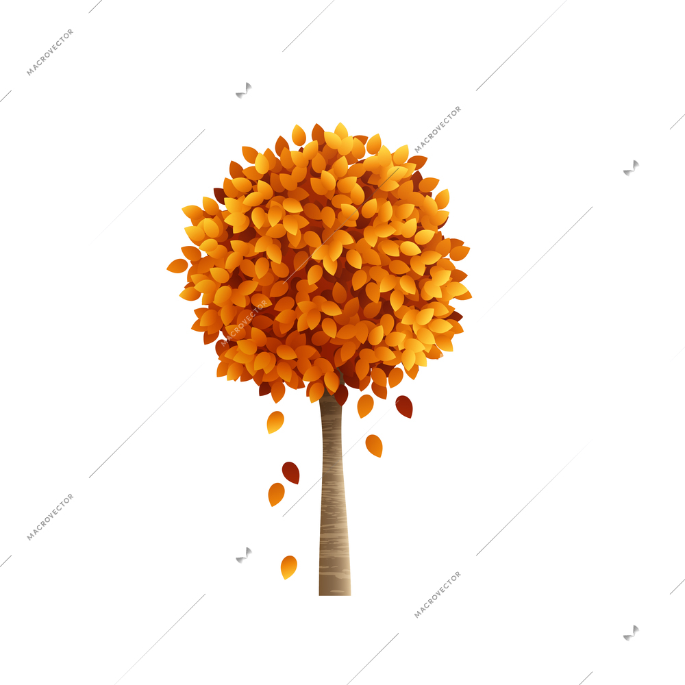 Yellow garden bush with thin trunk and falling leaves realistic vector illustration