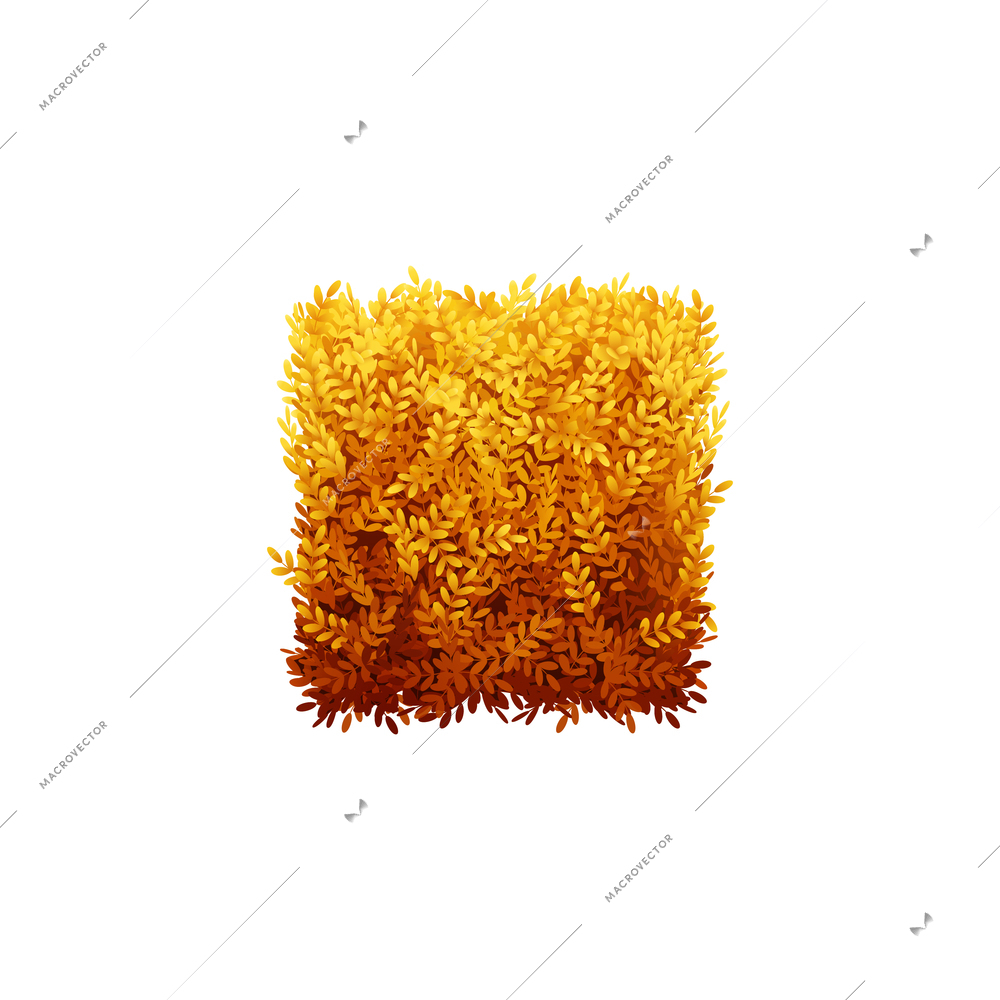 Square bush with yellow leaves in autumn realistic vector illustration