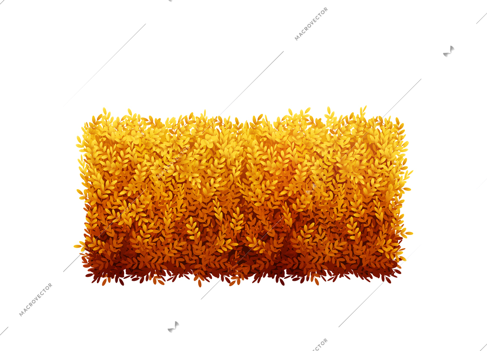 Realistic garden bush with orange leaves vector illustration