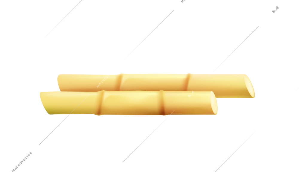 Two brown sugar canes on white background realistic vector illustration