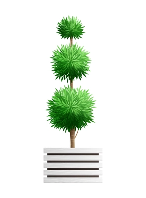 Realistic decorative garden bush small tree in pot vector illustration