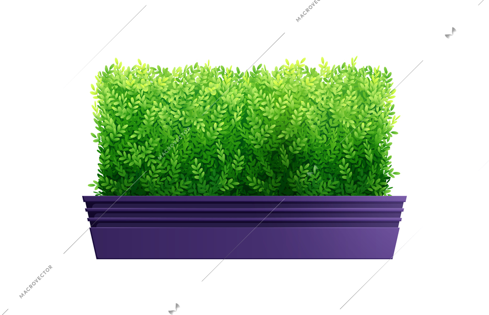 Decorative bush of rectangular shape in blue pot realistic vector illustration