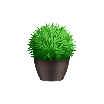 Small garden bush in pot on white background realistic vector illustration