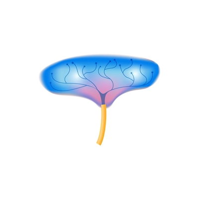 Skin sensory receptor concept with nerve and corpuscle flat vector illustration