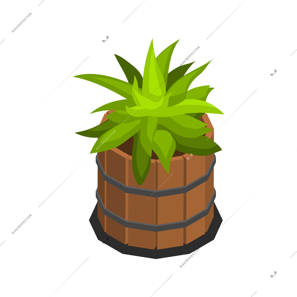 Landscape garden plant in pot design isometric vector illustration