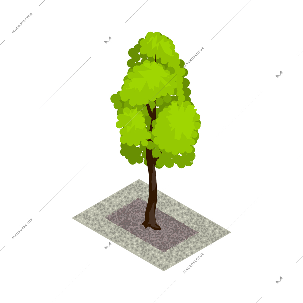 Landscape street tree design isometric vector illustration