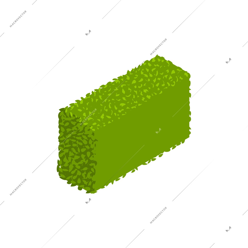 Landscape design isometric with fence hedgerow vector illustration