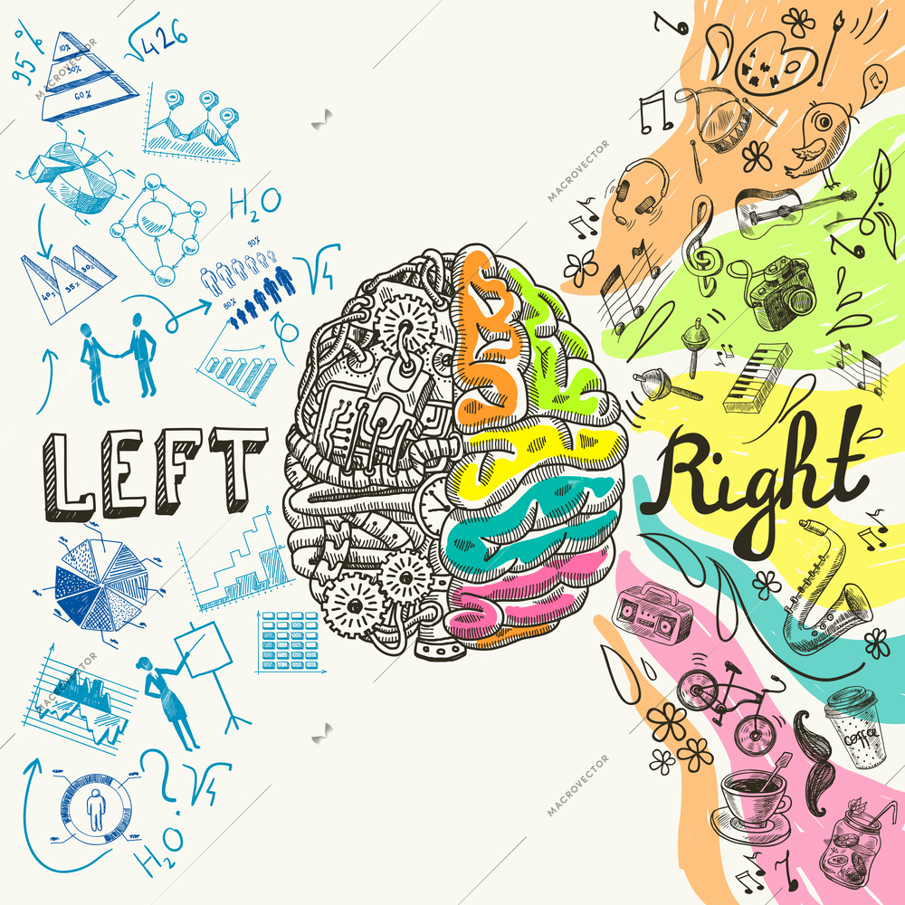 Brain left analytical and right creative hemispheres sketch concept vector illustration