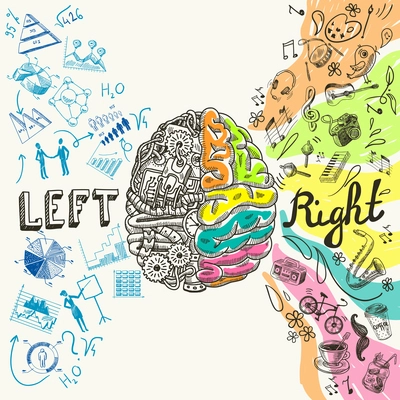 Brain left analytical and right creative hemispheres sketch concept vector illustration