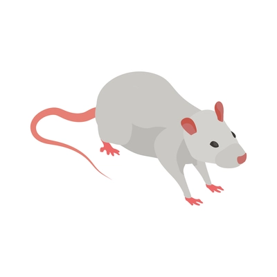 Pharmaceutical production with medical laboratory rat vector illustration