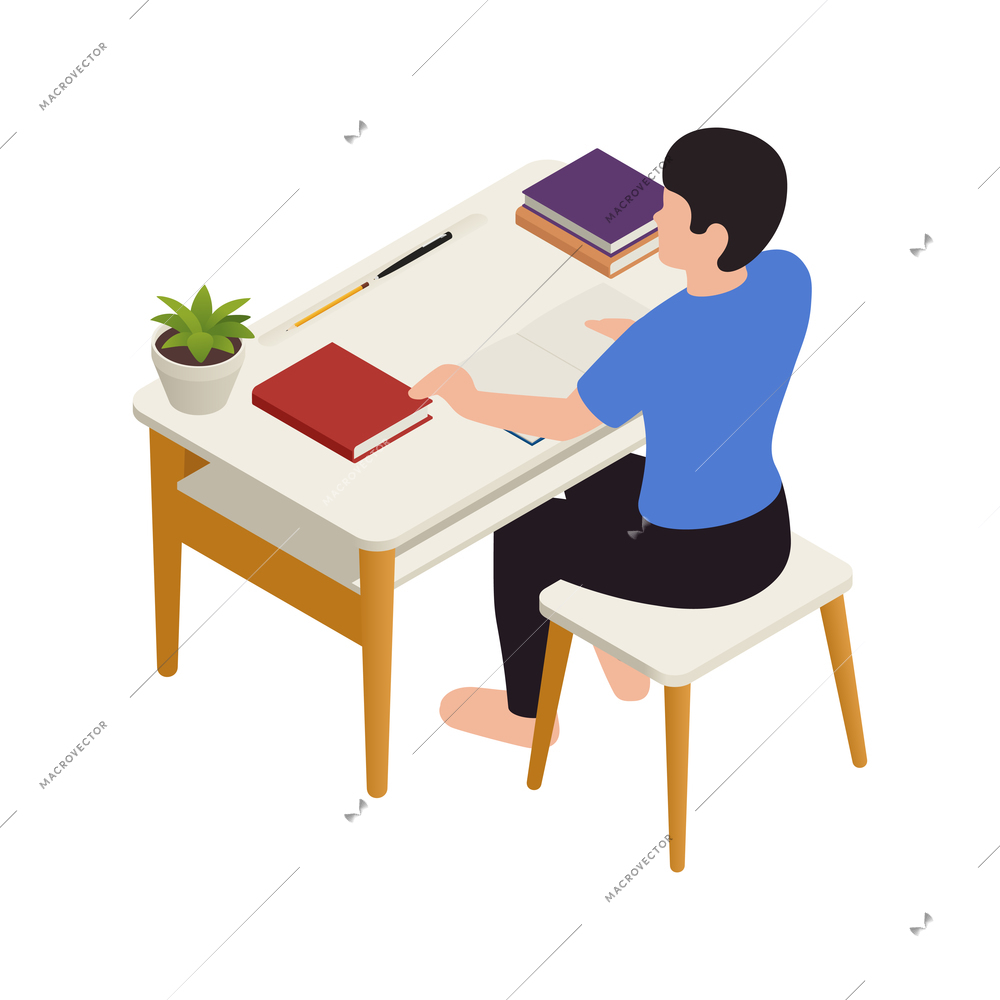 Homeschooling isometric with student at online lessons 3d vector illustration