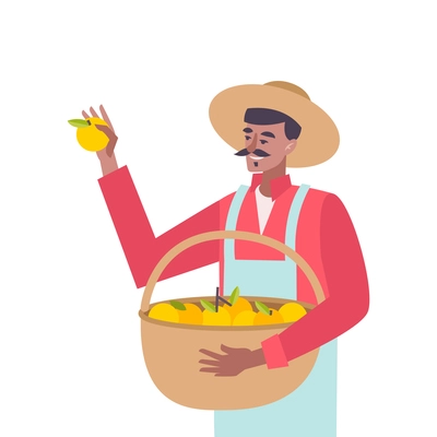 Flat man harvesting and storing citrus fruits vector illustration