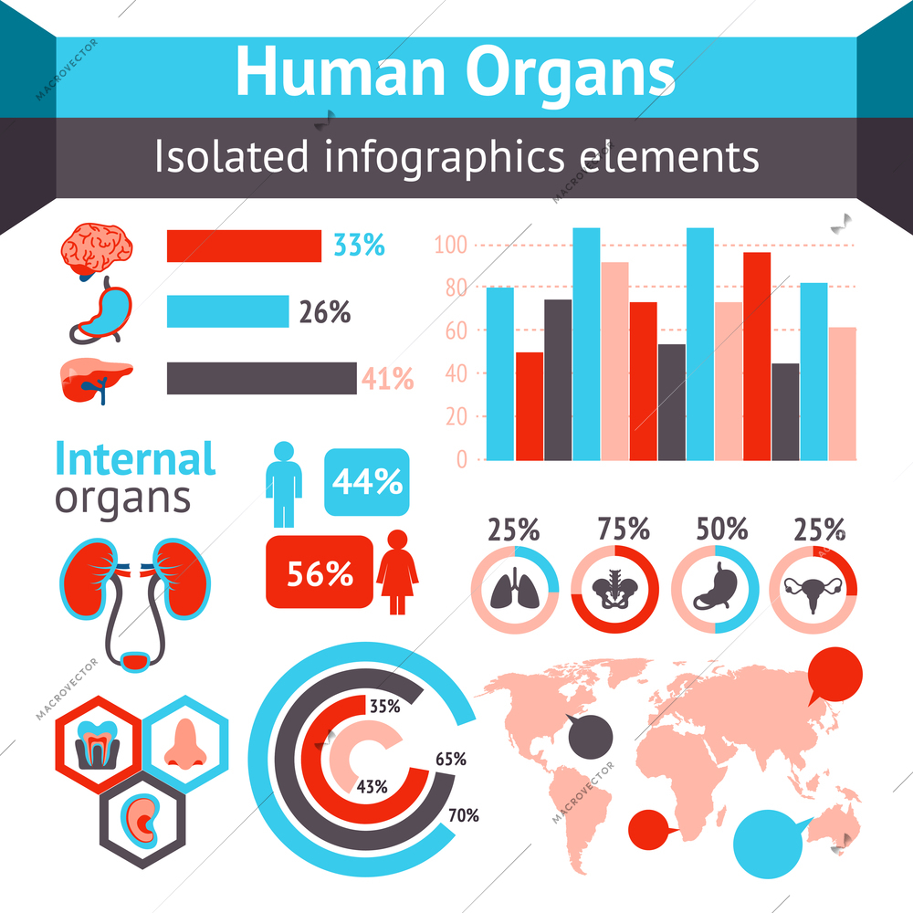 Medical infographic set with charts and internal organs vector illustration