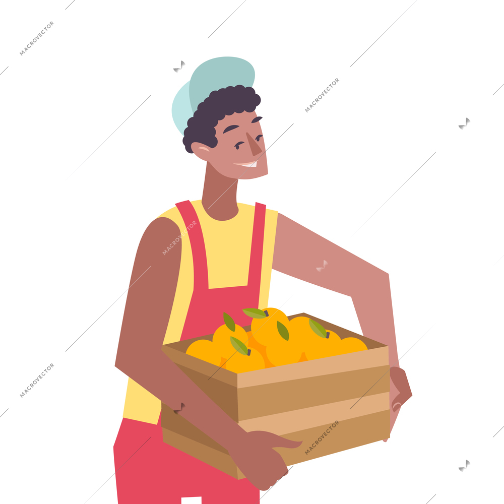 Flat man harvesting and storing citrus fruits vector illustration