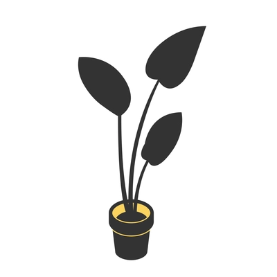 Home houseplant in pot isometric hand drawn vector illustration