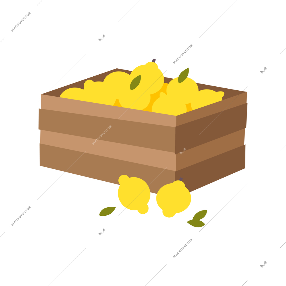 Flat storing citrus fruits with healthy eco food symbols vector illustration