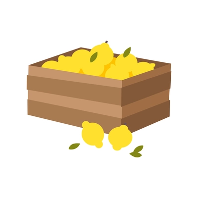Flat storing citrus fruits with healthy eco food symbols vector illustration