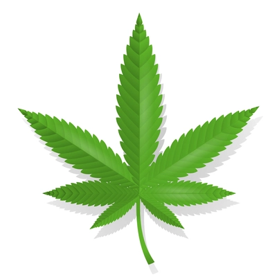 Cannabis leaf medcial icon isolated vector illustration