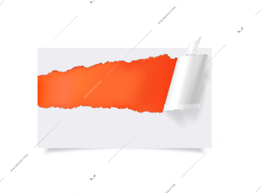 Color and white torn paper design isolated vector illustration