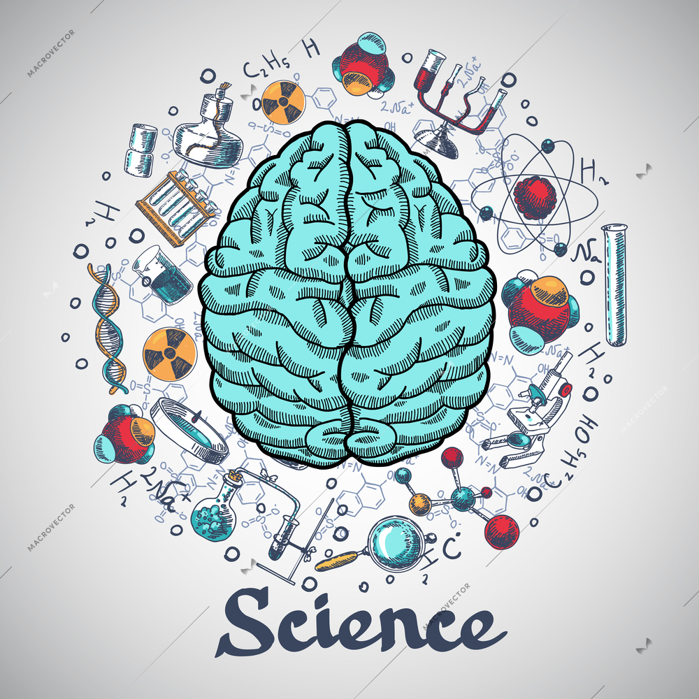 Human brain and physics and chemistry icons in science concept sketch vector illustration