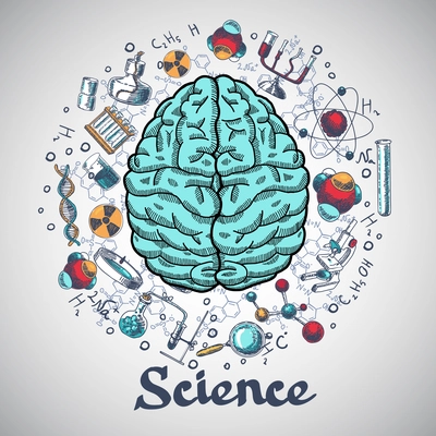 Human brain and physics and chemistry icons in science concept sketch vector illustration