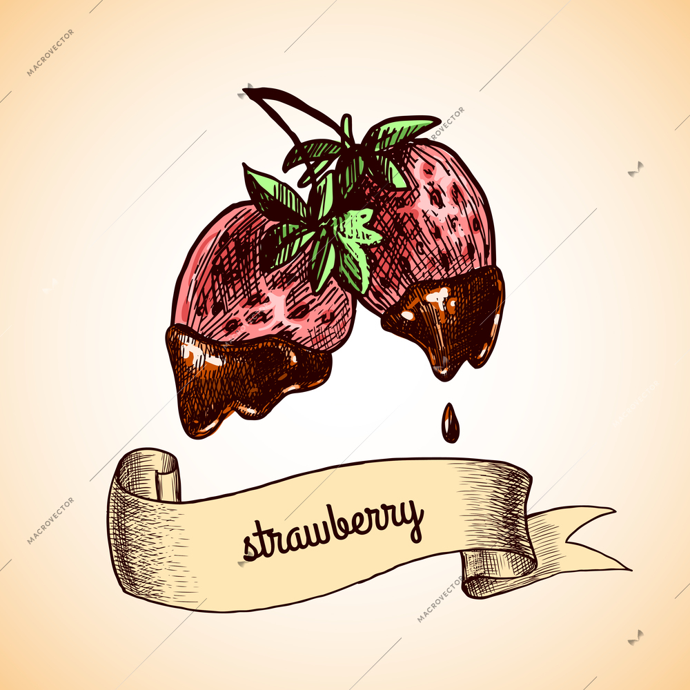 Strawberry in chocolate colored sketch ribbon emblem vector illustration