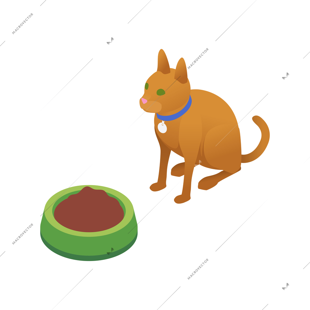 Cat feeding with volunteering symbols isometric isolated vector illustration