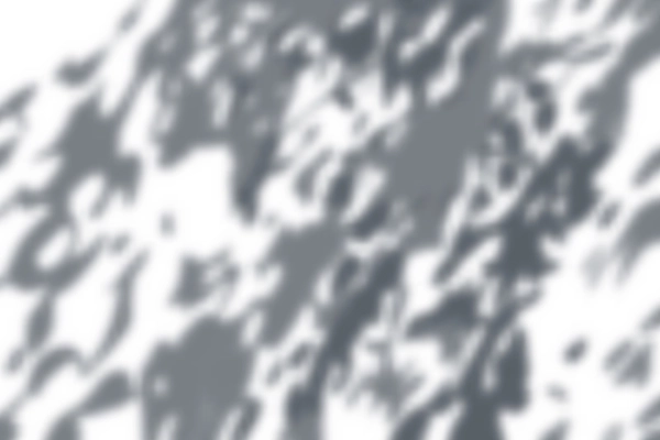 Realistic shadow composition with monochrome shadows of foliage leaves on white wall vector illustration
