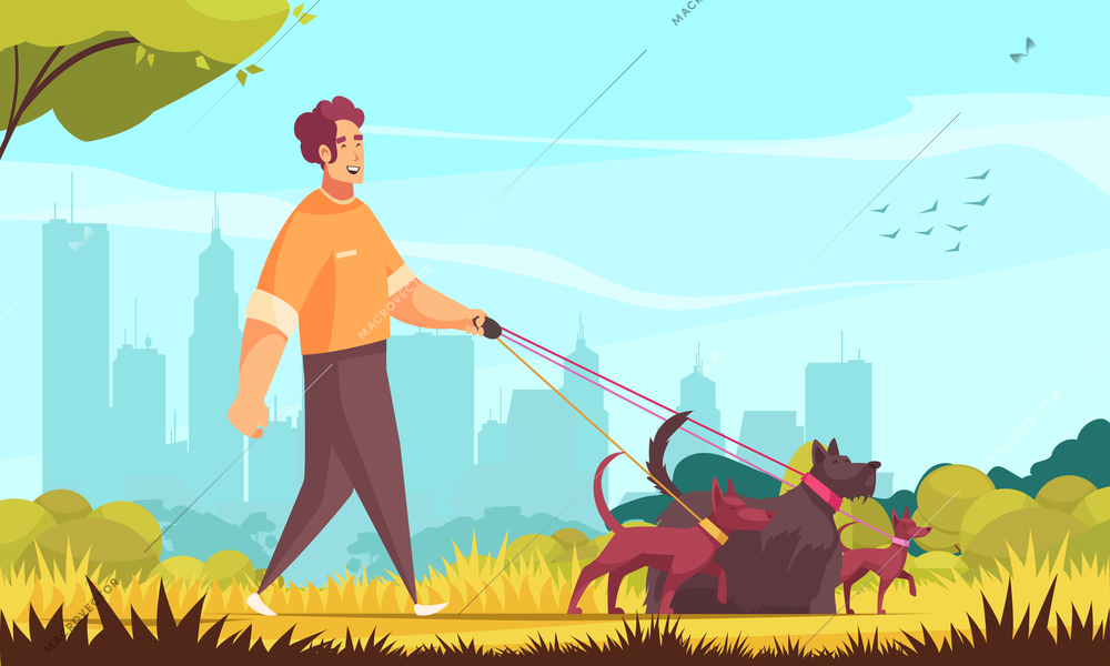 Dog sitter composition with outdoor landscape and doodle male character walking three dogs with cityscape background vector illustration