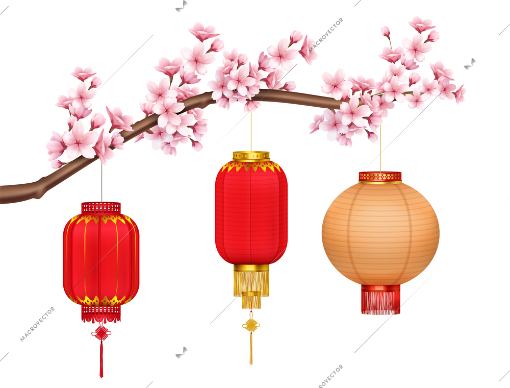 Red and gold chinese lanterns with gold fringe and brushes hanging on sakura branch realistic  vector illustration