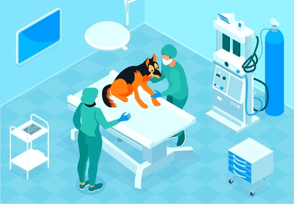 Isometric veterinary composition with view of surgery room with doctors in uniform dog and medical apparatus vector illustration